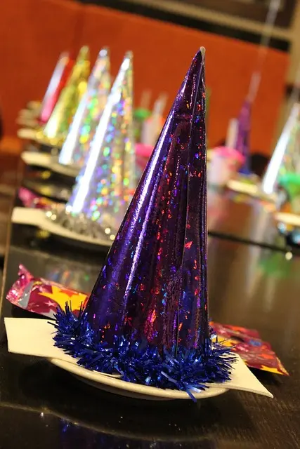 Ambiance de soirée d'anniversaire avec DJ SonoDisconight